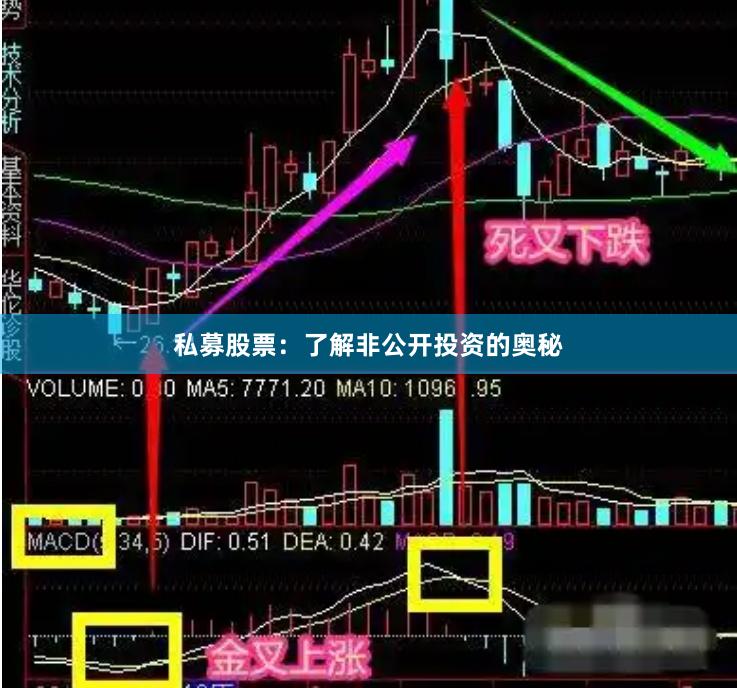 私募股票：了解非公开投资的奥秘